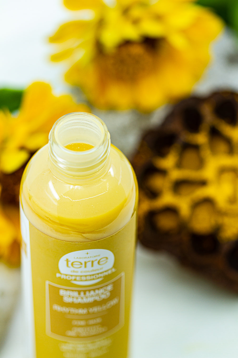 For Fine and Dull Hair - Natural Shampoo