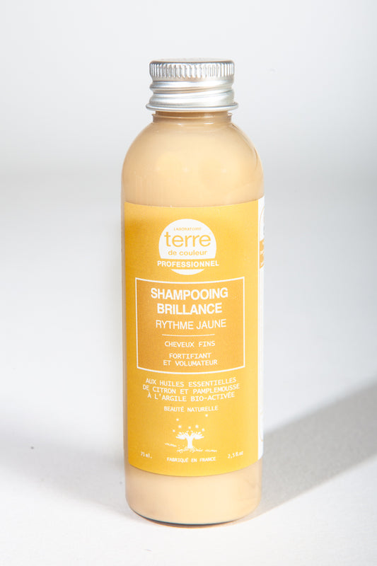 For Fine and Dull Hair - Natural Shampoo